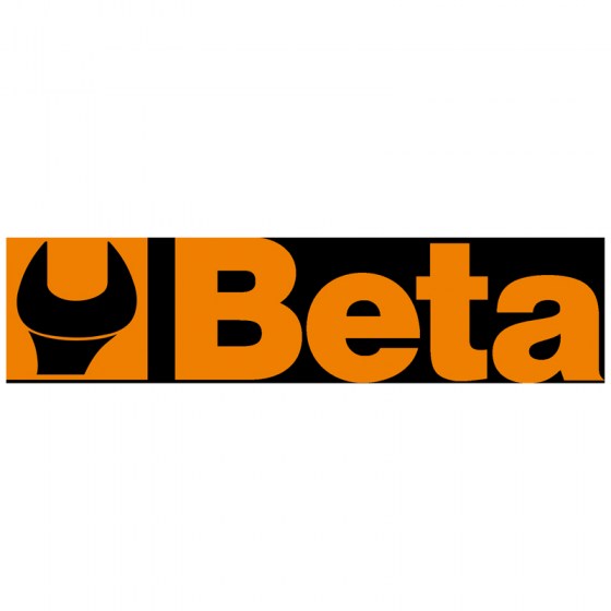 Beta4