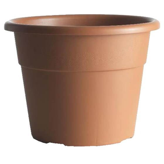 VasoHedera3839A13